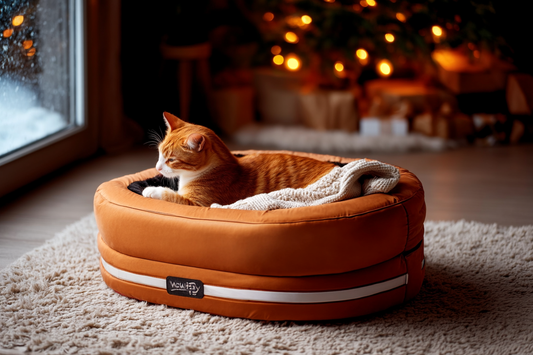 The Warmest Christmas Gift for Your Fur Baby