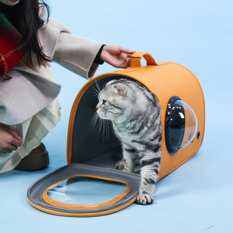 Le Trésor Pet Tote