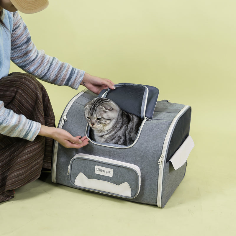Pet Voyager Tent-Tote